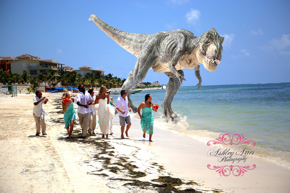 dinosaur composite